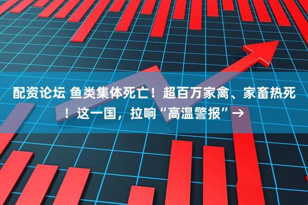 配资论坛 鱼类集体死亡！超百万家禽、家畜热死！这一国，拉响“高温警报”→